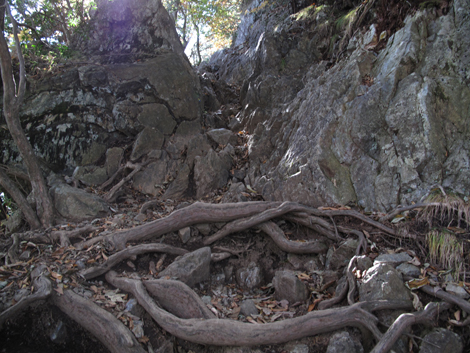 20171102hike (230)